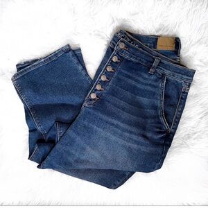 American Eagle Button Fly Mom Jeans 18s